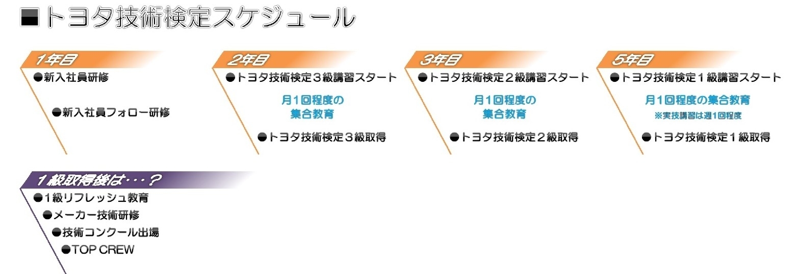 教育スケジュール